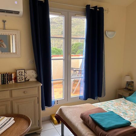 Apartament Aloes Cerbère Zewnętrze zdjęcie